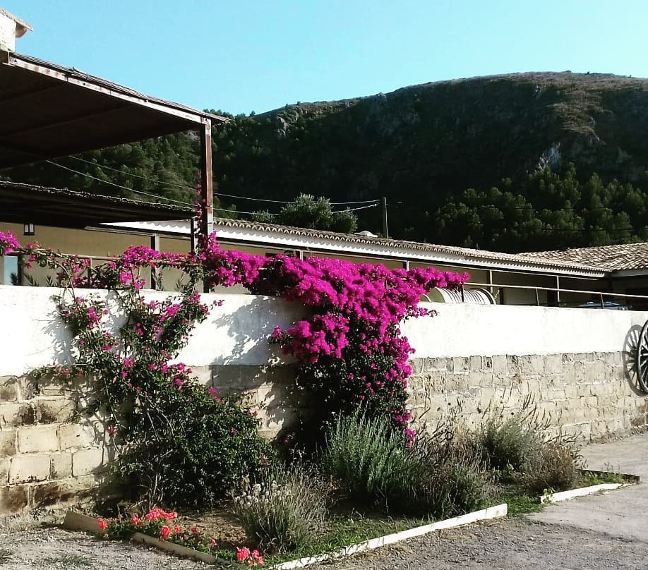 Bodega Conde de SUYROT-Colonia de Sant Pere必去景点