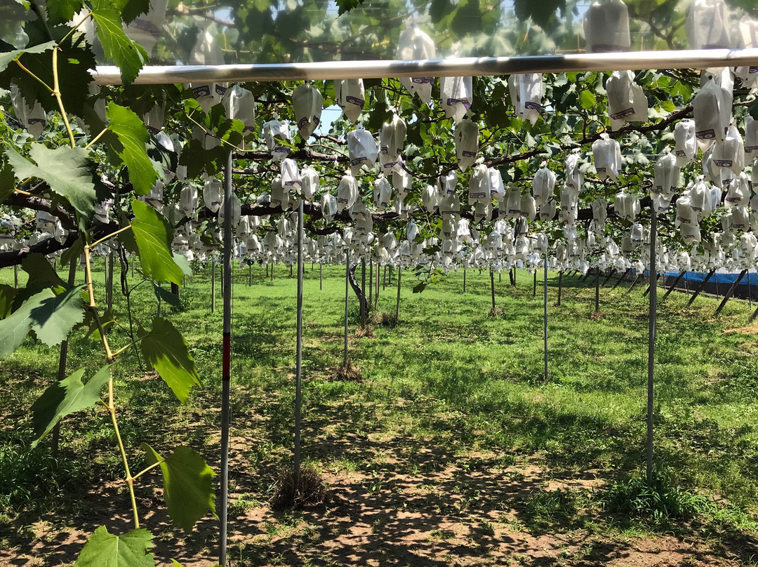 Ukiha Kaju no Mura Yamandon-浮羽市必去景点