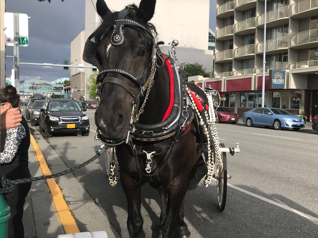 Horse Drawn Carriage Co., LLC景点图片