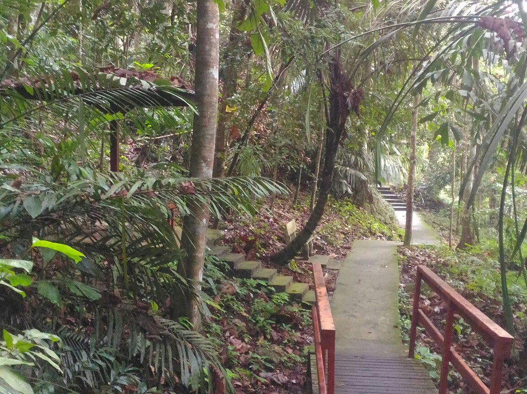 Soga Perdana Amenity Forest景点图片
