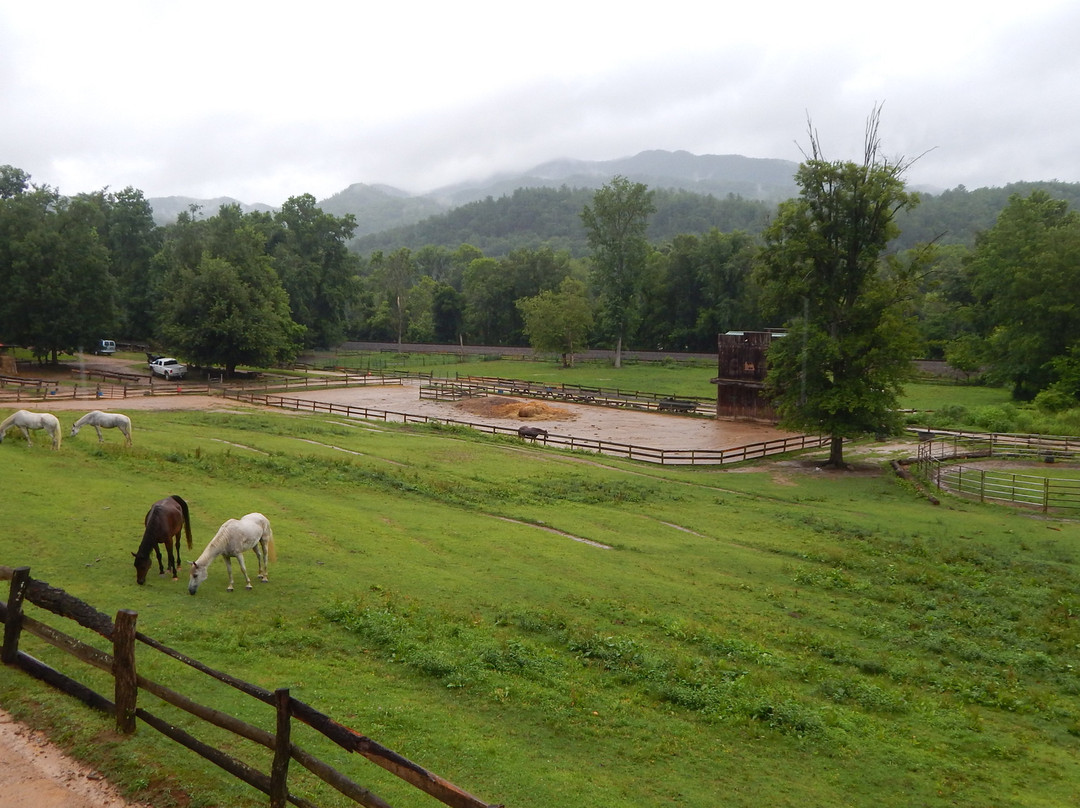 French Broad River Outpost Ranch景点图片