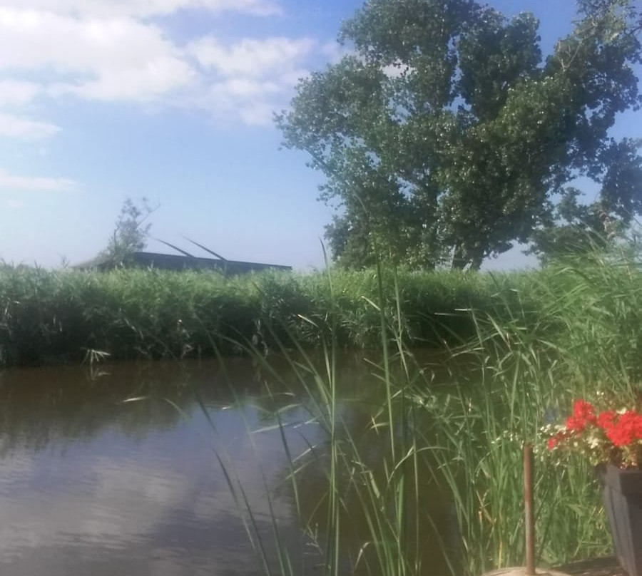 B&B De Schaapskooi主图