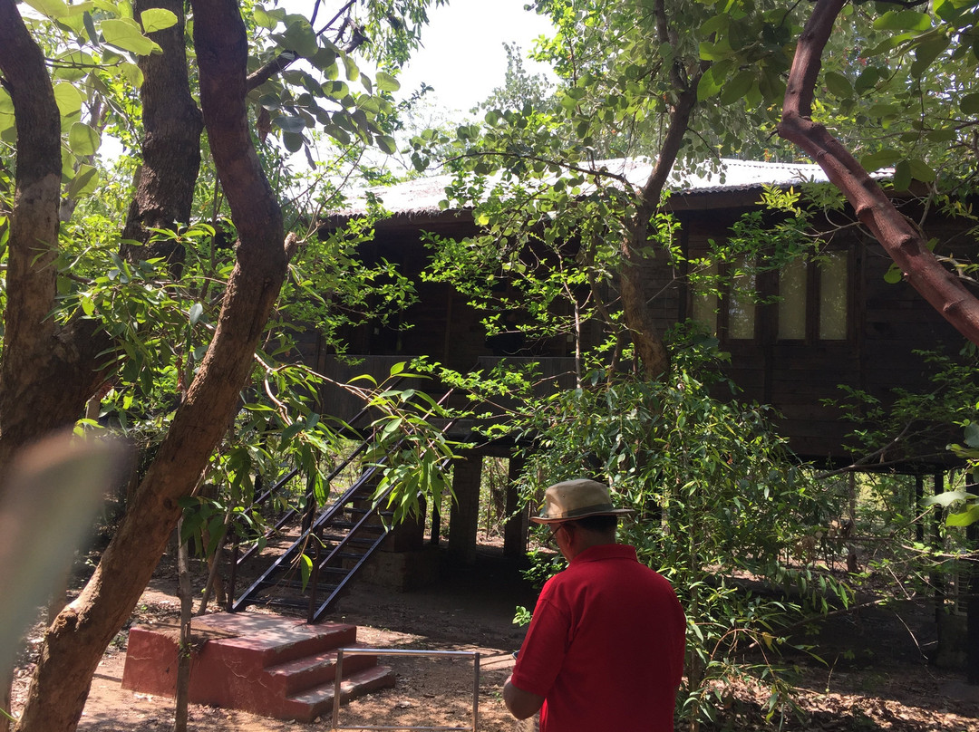 Tiger  N Woods Forest Resort景点图片