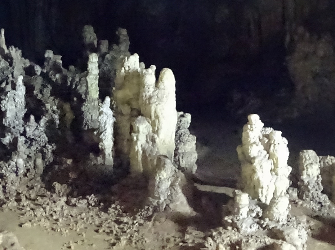 Coral Cave景点图片