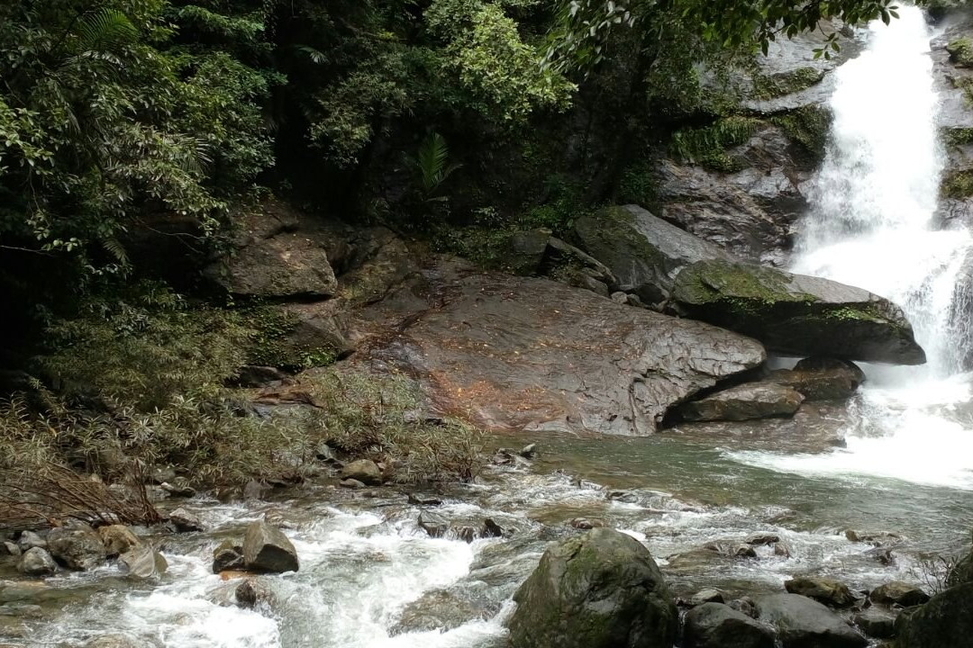 Meenvallam Waterfalls景点图片