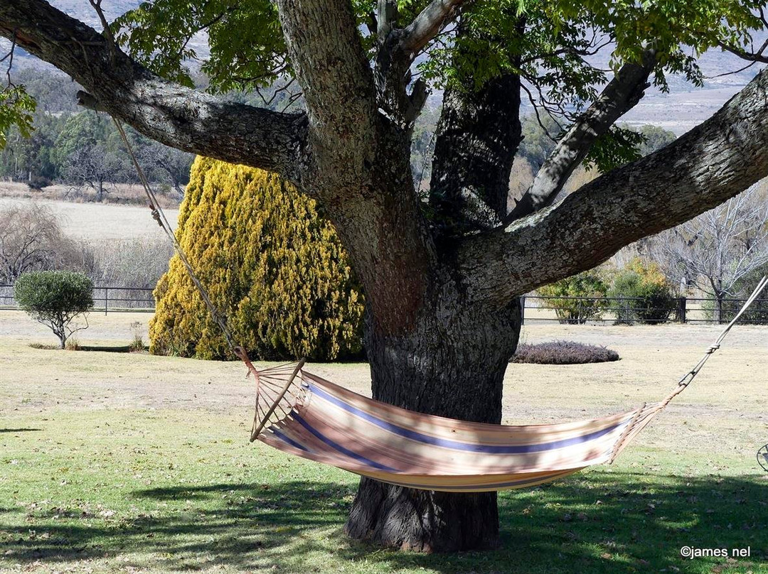 Moolmanshoek Private Game Reserve主图