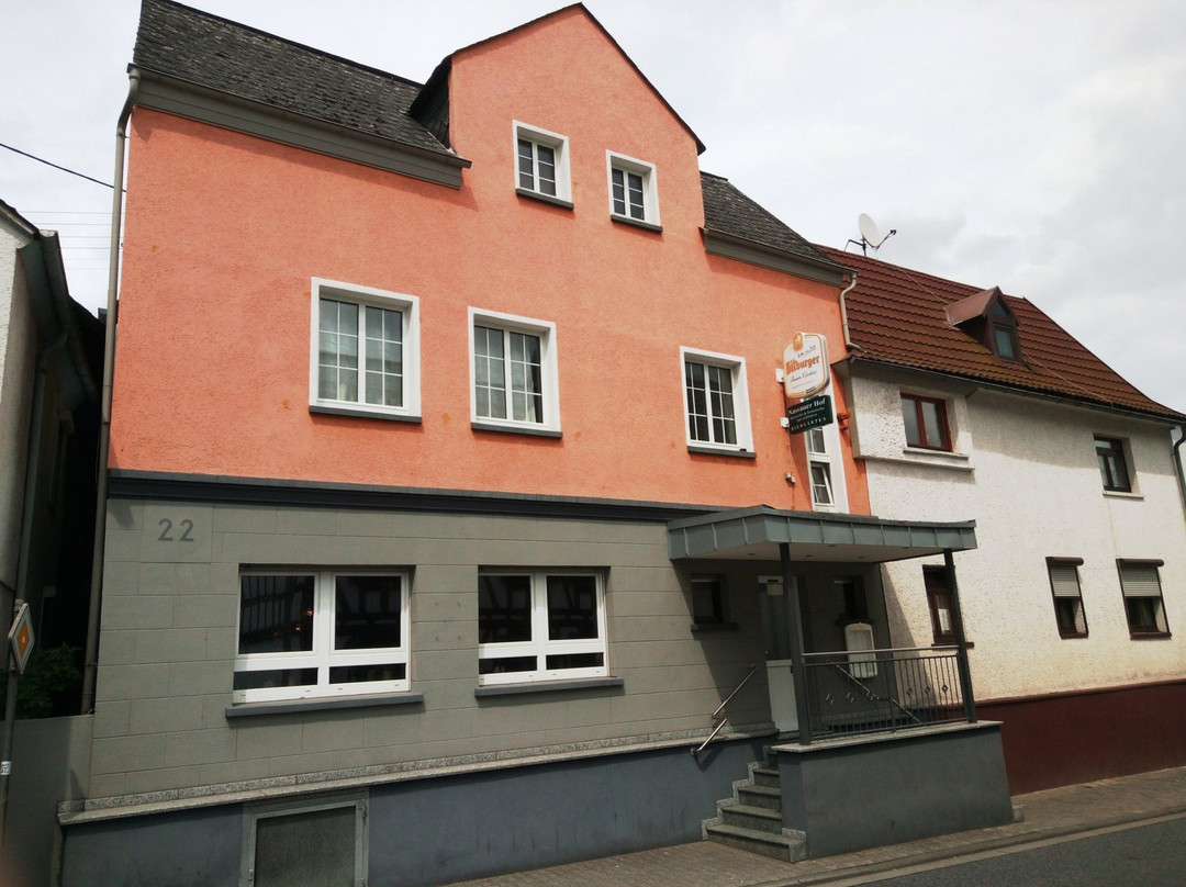 Hundsangen餐馆和美食-Nassauer Hof Elz