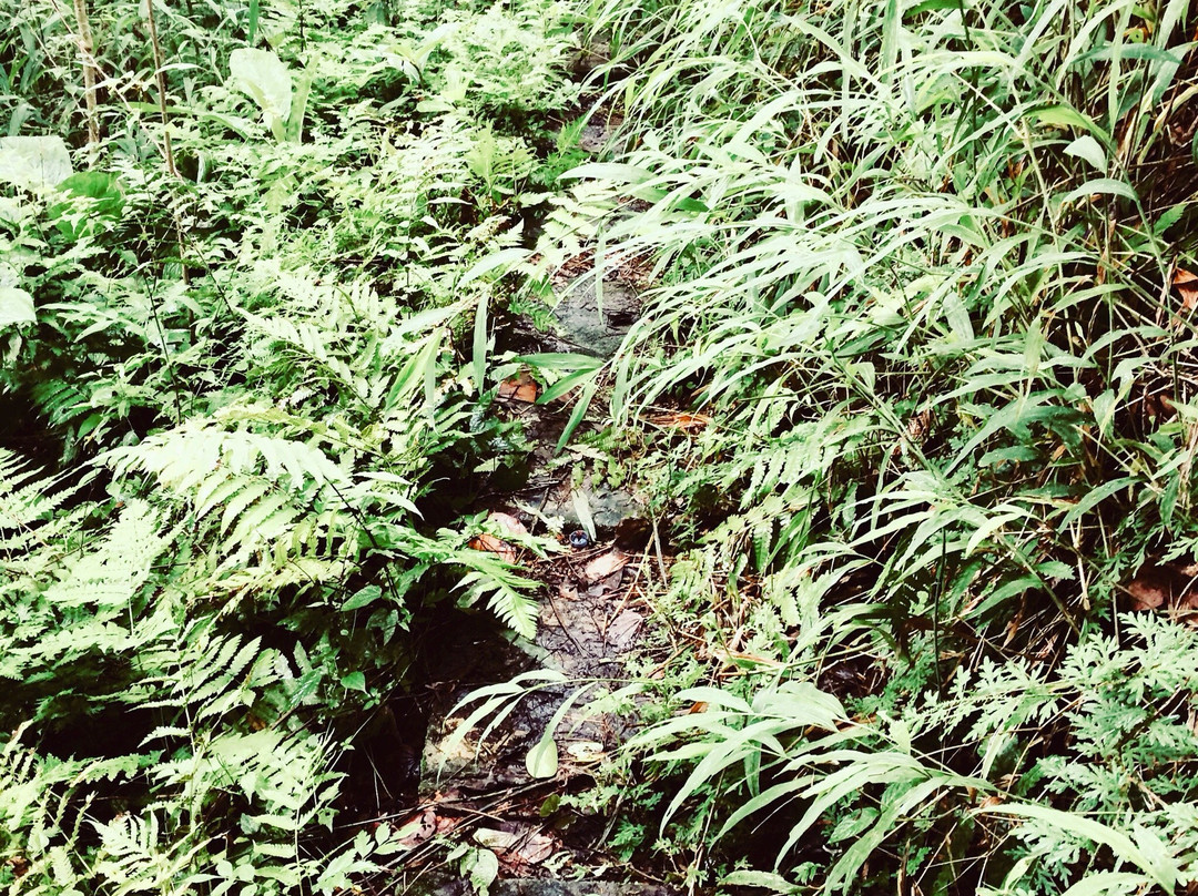 Tad Thong Waterfall-琅勃拉邦必去景点