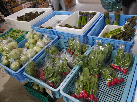 Hakko Gakuen Farmer's Market-札幌市必去景点