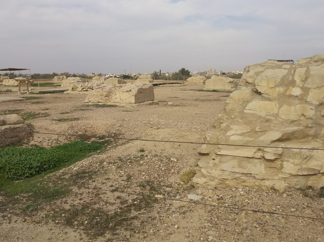 Apadana Castle Shush景点图片