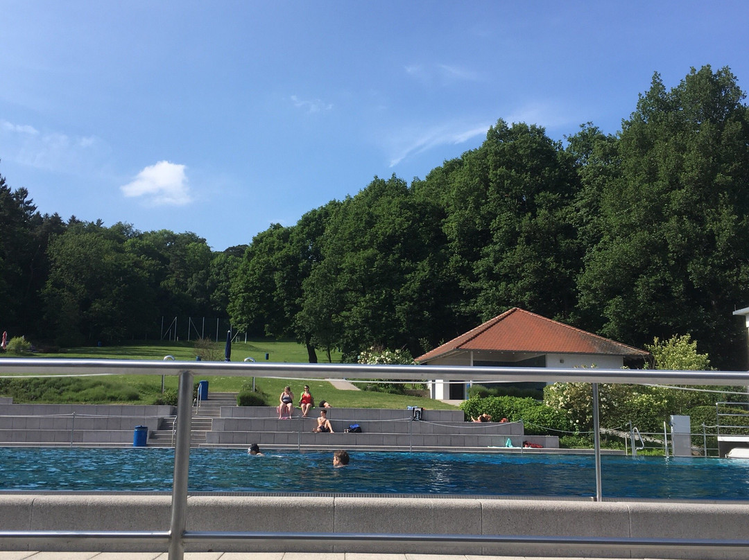 Waldschwimmbad Kronberg-陶努斯山区克龙贝格必去景点