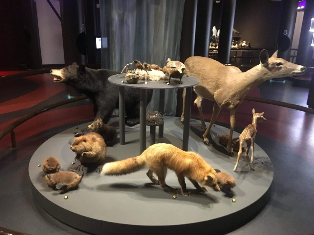 Musee de la nature et des sciences-舍布鲁克必去景点