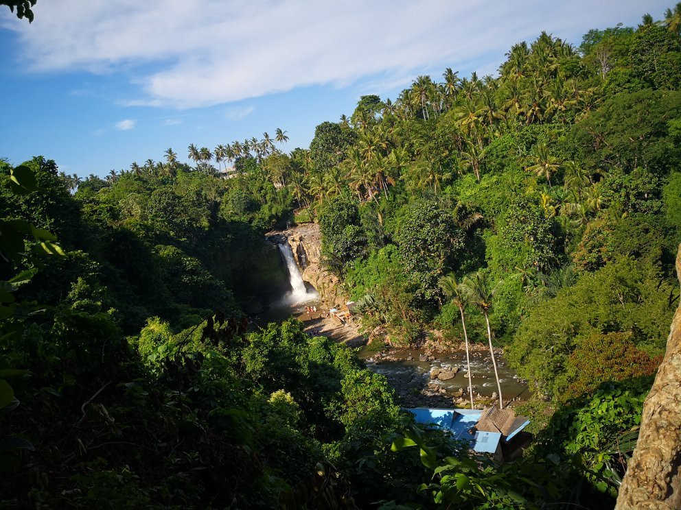 Bromelia Bali Tour & Transport Service - Day Tours-乌布必去景点