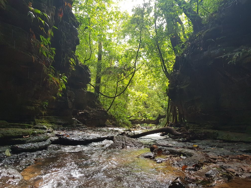 Cachoeira do Indio景点图片