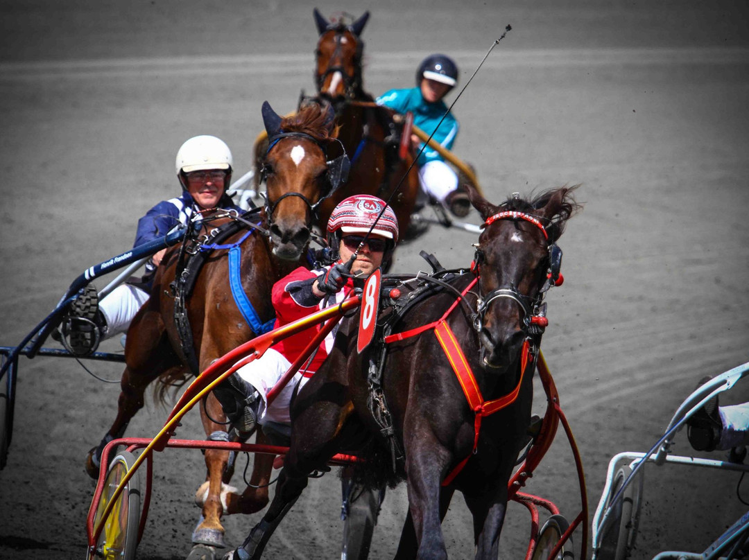 Fyens Væddeløbsbane-欧登塞必去景点