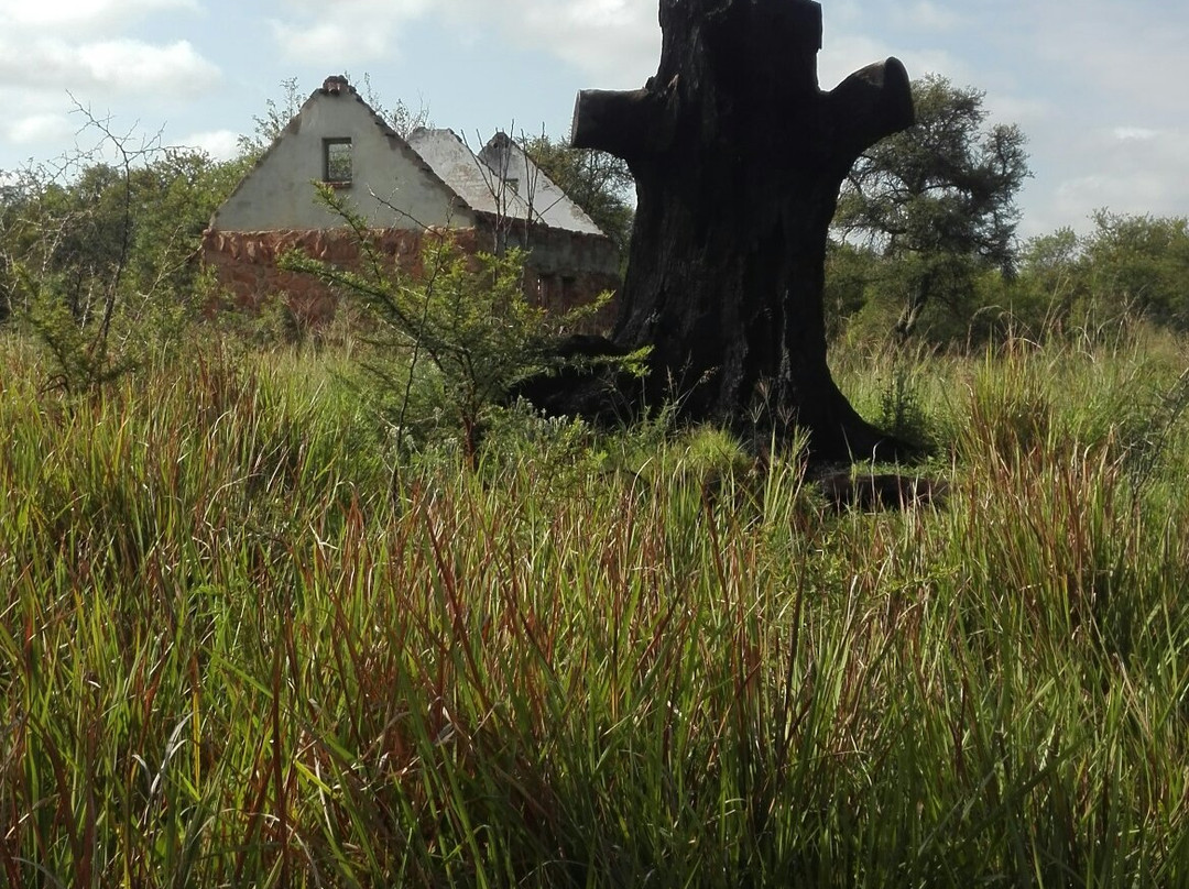 Rosemary Hill Accommodation主图