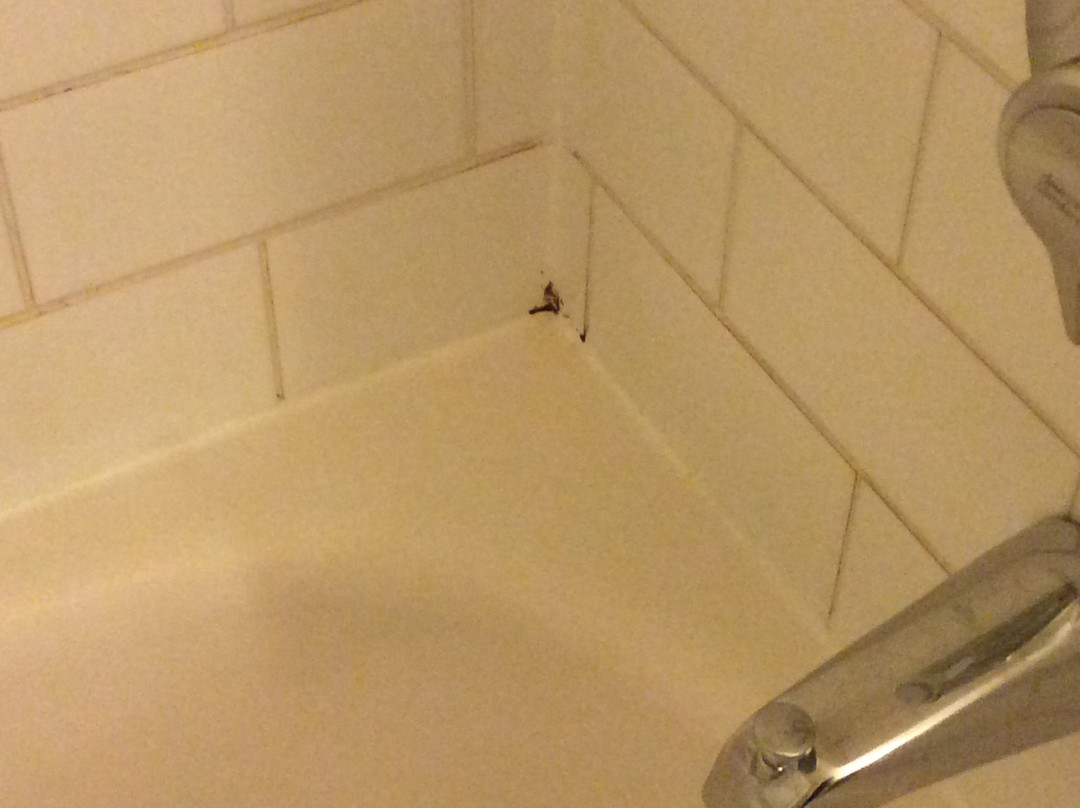 St. Eugene Golf Resort & Casino主图