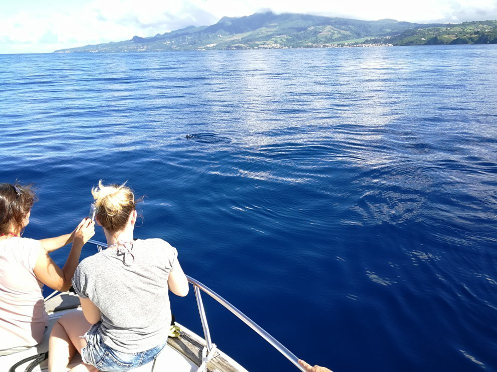 Antilles Excursions-Trois-Ilets必去景点