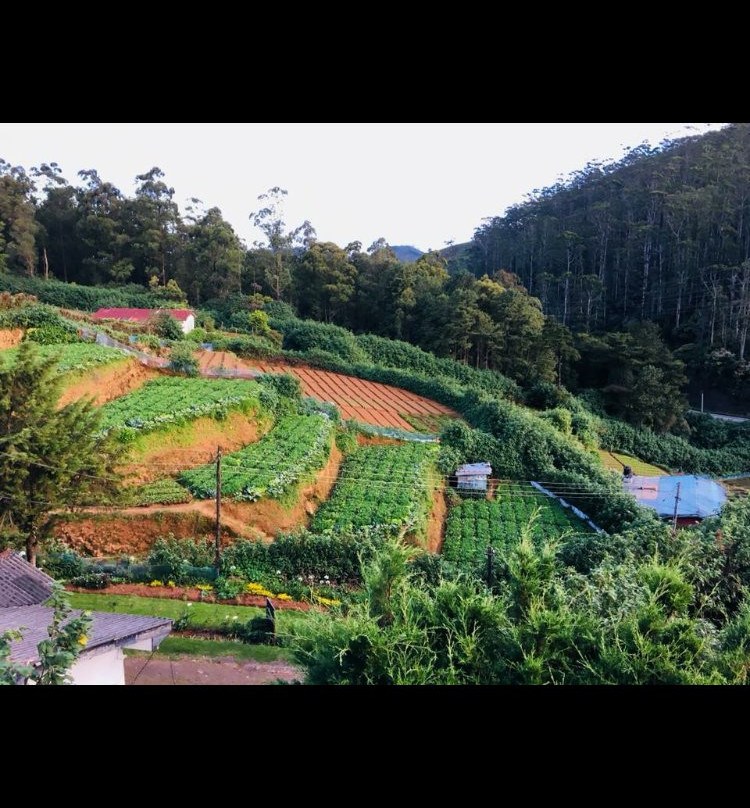 Royal Terrace Holiday Bungalow主图