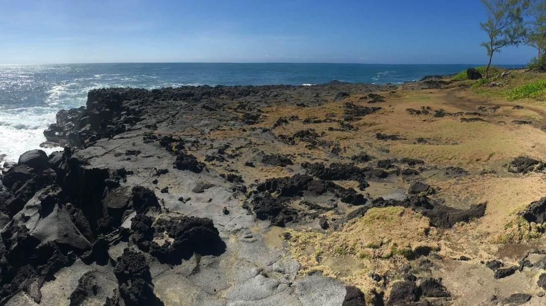 L'Arbre de vie主图