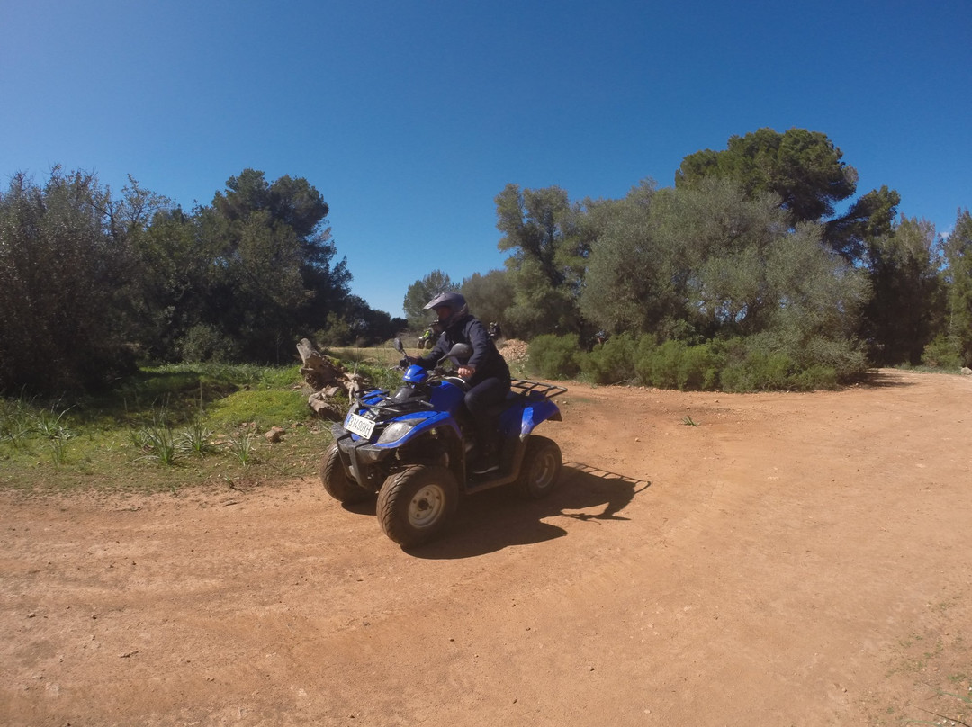 Quad Tour Mallorca景点图片