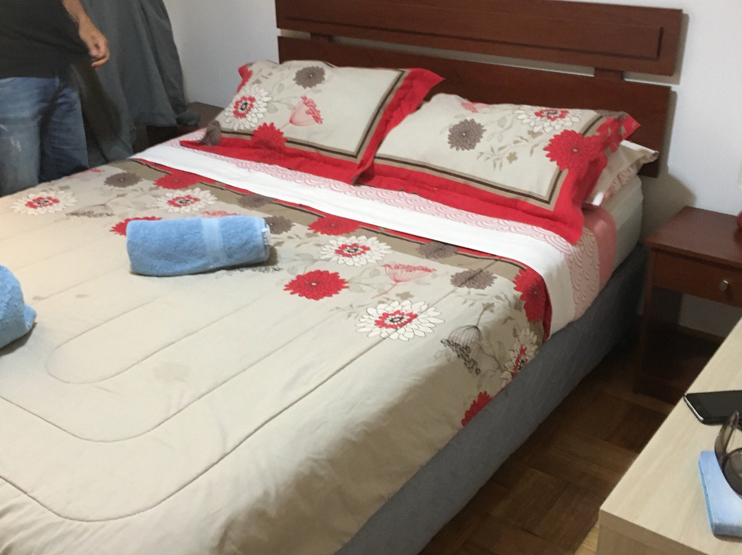 Las Condes酒店住宿-Bed and Breakfast Manque