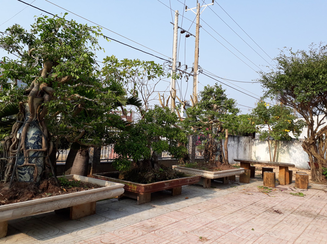 Ho Tram Villa Mini Hotel主图