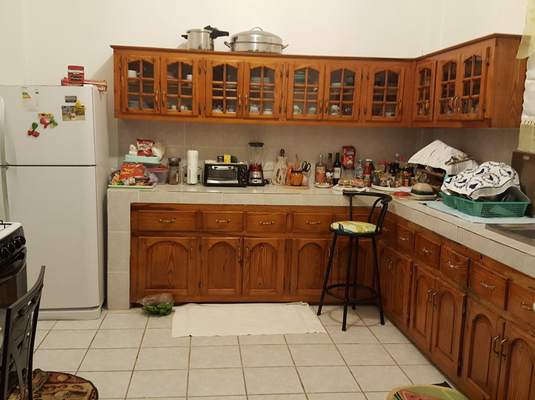 Claudia's Cove主图