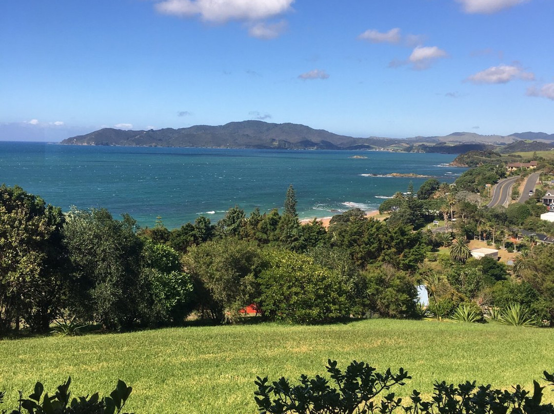 Carneval Ocean View主图