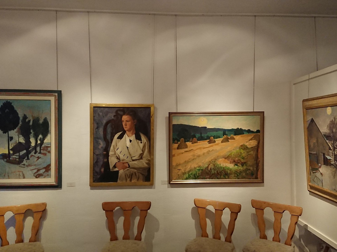Max Böhlen Museum景点图片