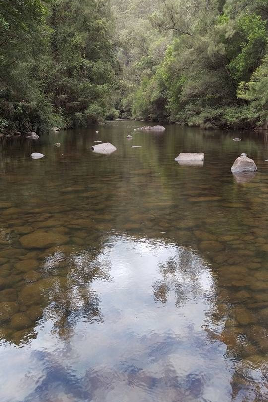Ferndale Park Camping Area
