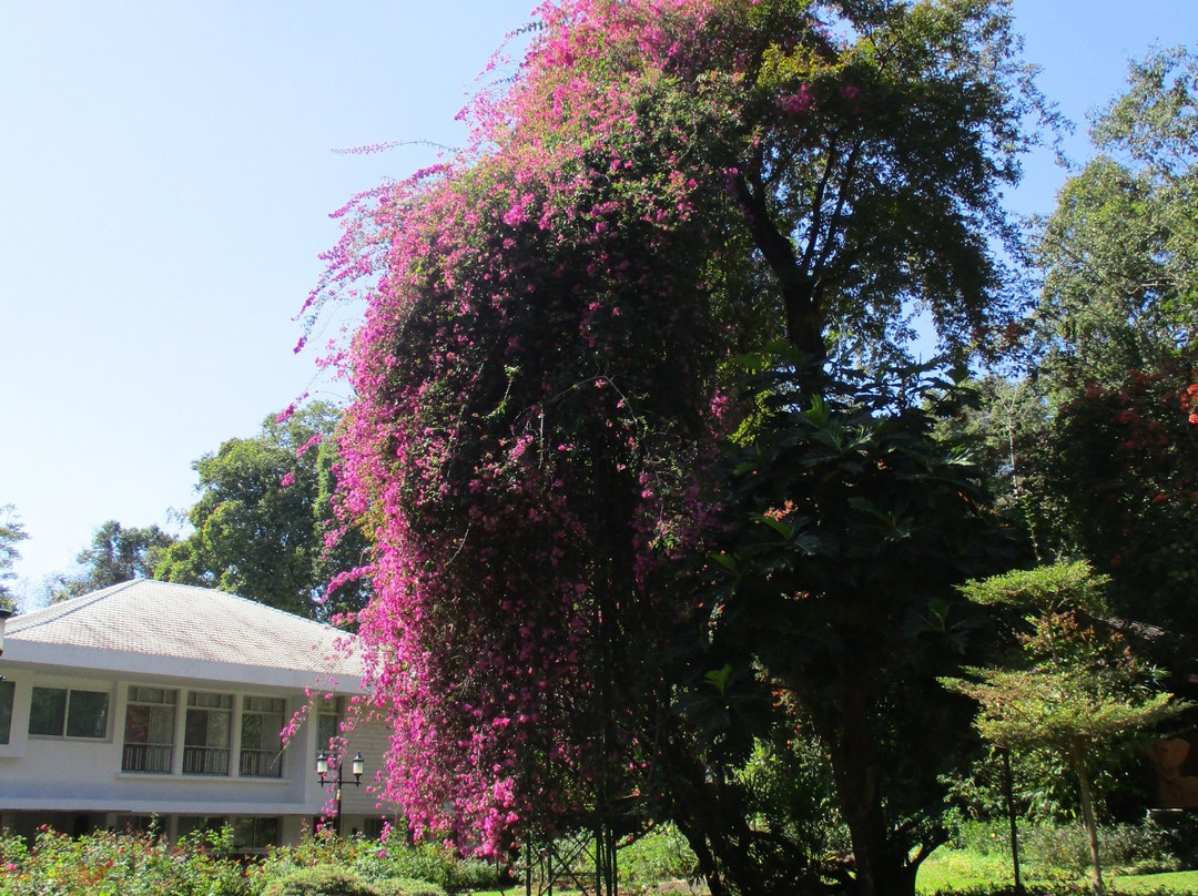 Phu Phan Ratchanivet Palace-莆攀必去景点