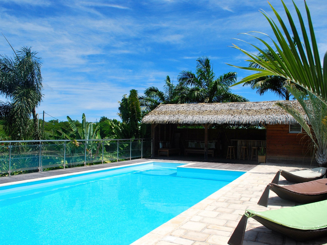 Coco Paradise