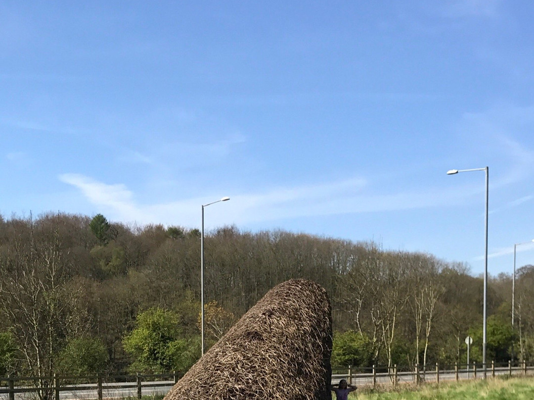 Bennett's Patch and White's Paddock-布里斯托尔必去景点