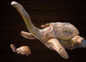 Das Driftwood Museum & Park景点图片