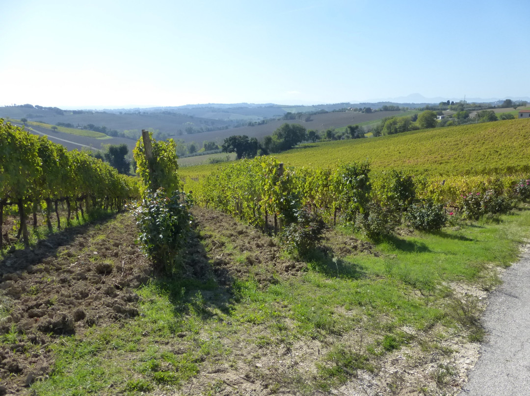 San Marcello旅游景点-Podere Santa Lucia