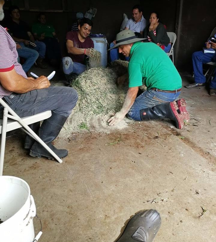 Finca Orgánica Tierra de Suenos景点图片
