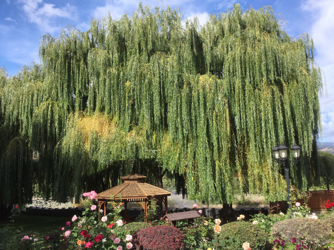 Silver Sage Winery Luxury B&B主图