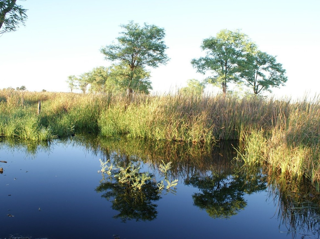Dragon Tree Soak Nature Reserve景点图片