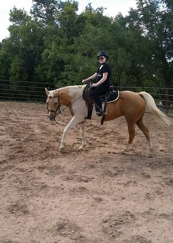 Bishop's Lodge Stables-圣菲必去景点