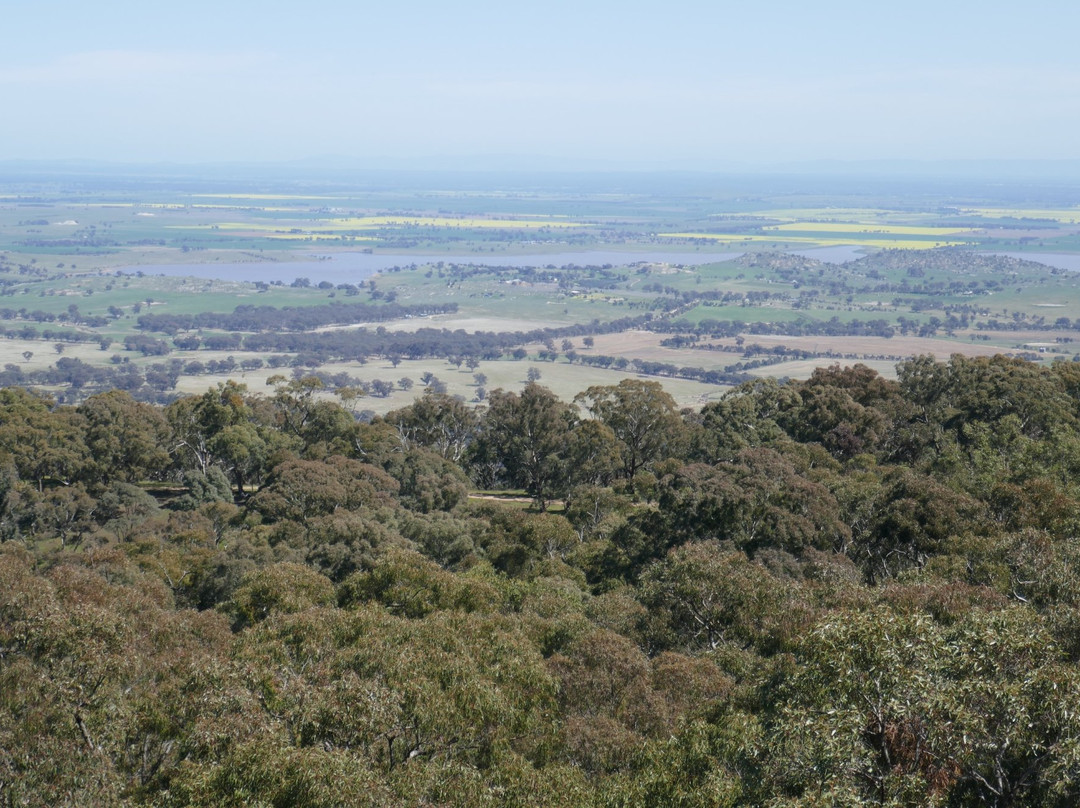 Mount Tarrengower Lookout-Maldon必去景点