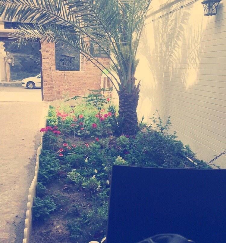 Ahvaz餐馆和美食-Melorin Cafe