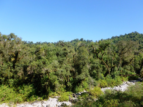 Parque Nacional Aconquija-Alpachiri必去景点