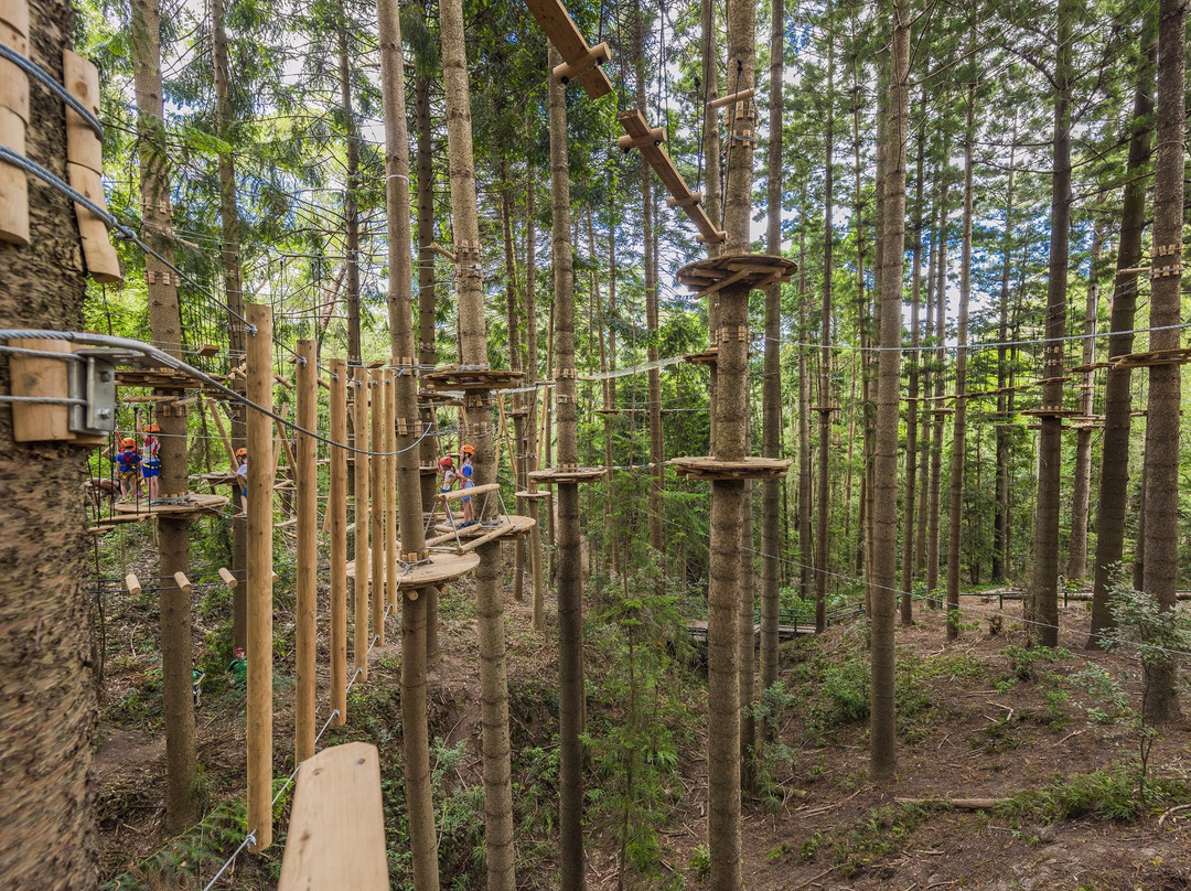Treetops Adventure The Hills景点图片