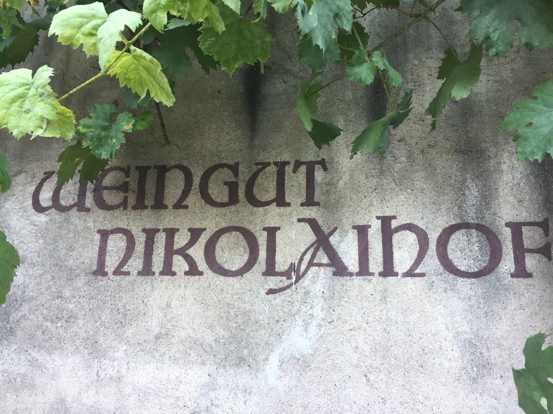 Weingut Nikolaihof-Mautern an der Donau必去景点