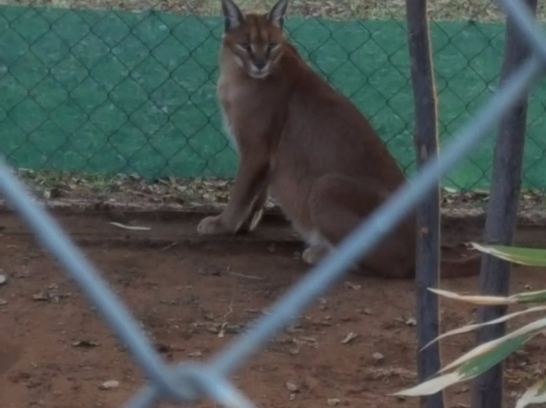 Loebies Gasteplaas-贝拉贝拉必去景点