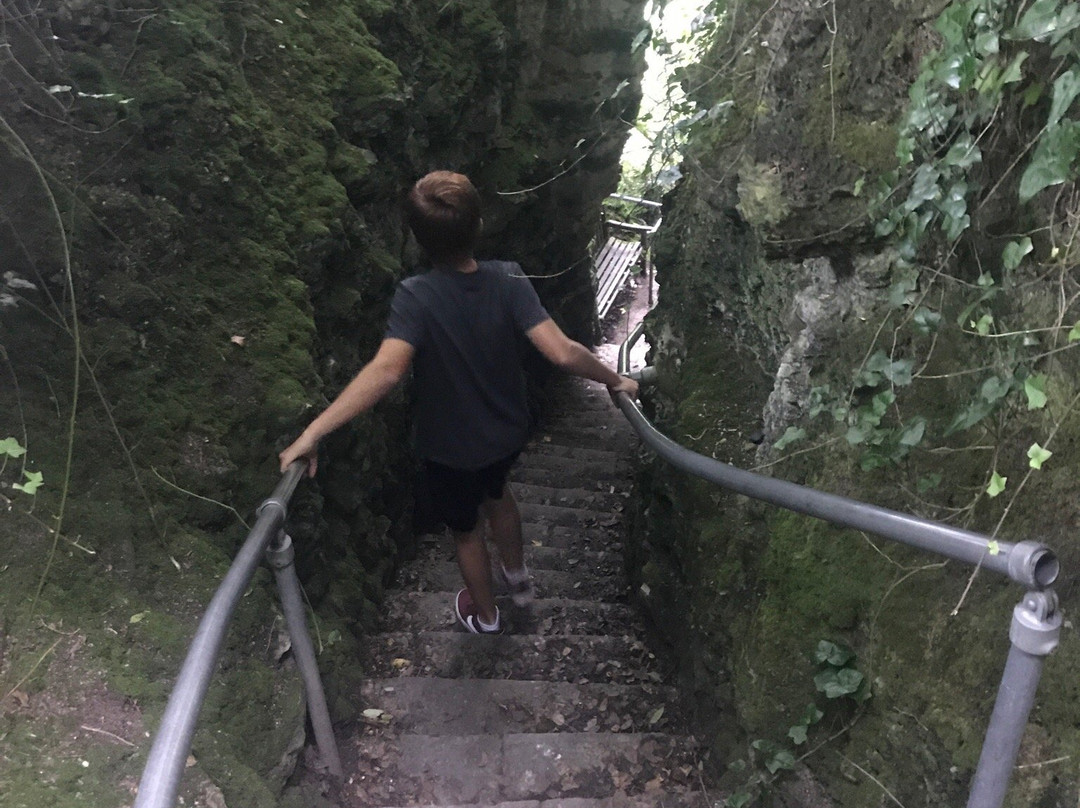Bonchurch Landslip-Bonchurch必去景点