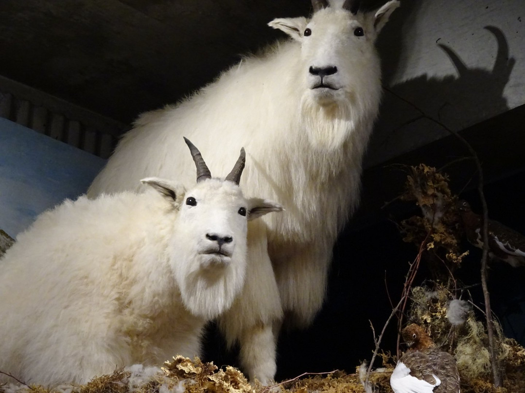 Kitimat Museum & Archives-Kitimat必去景点