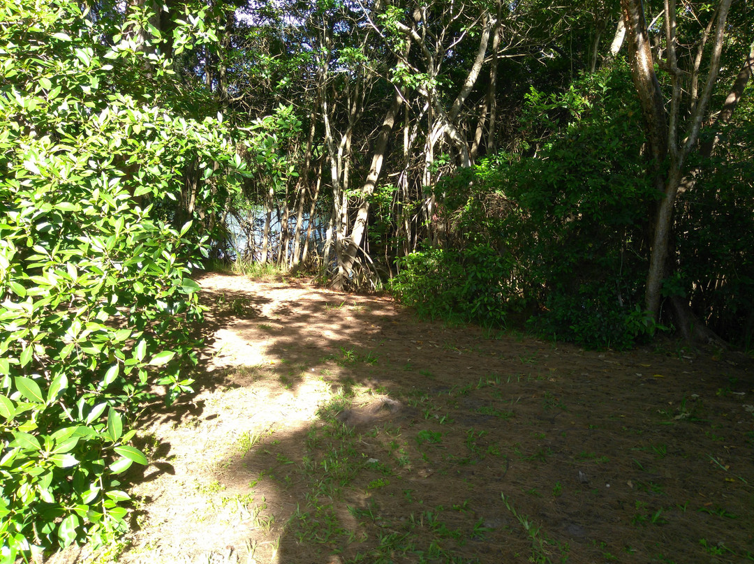 Greynolds Park-北迈阿密海滩必去景点