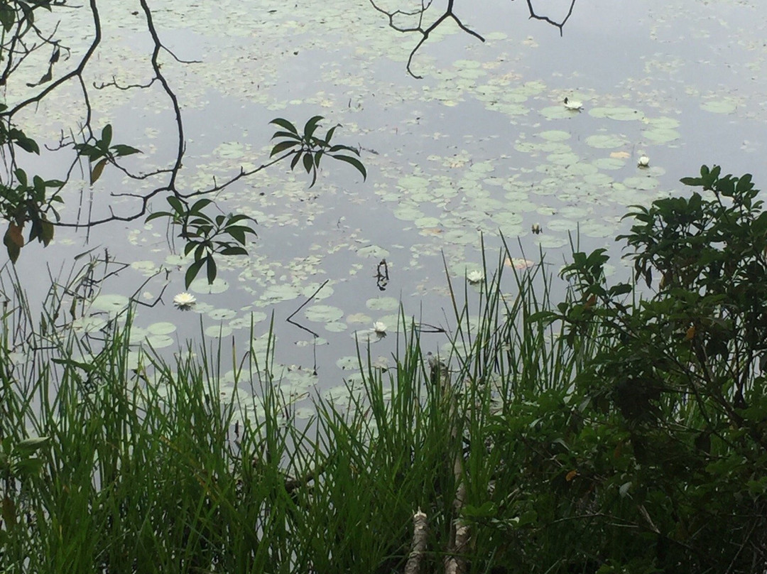 Puffer's Pond-艾姆赫斯特必去景点